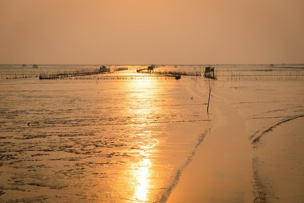 Meilleurs campings familiaux pour des vacances inoubliables