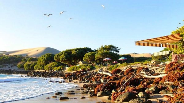 Découvrez les joyaux des campings sur la côte atlantique